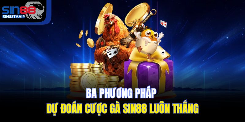 Ba phương pháp dự đoán cược gà Sin88 luôn thắng