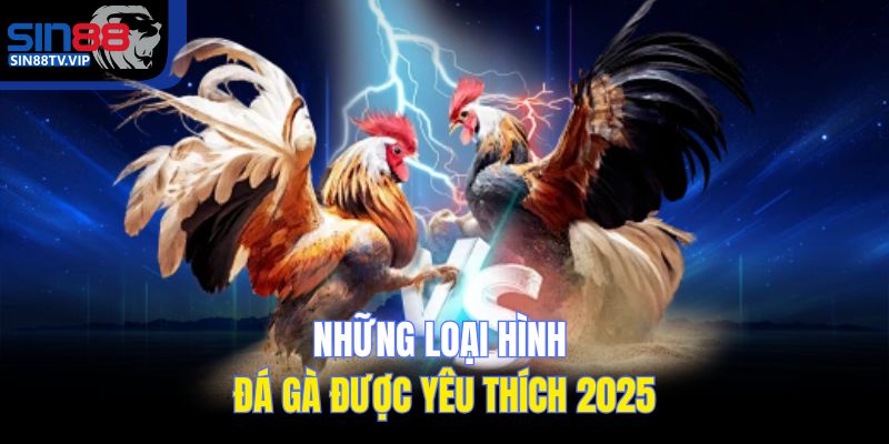 Những loại hình đá gà được yêu thích 2025